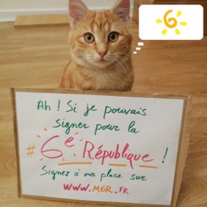 R16
